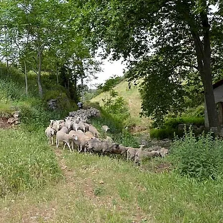 Garganomareborghi Ospitalita Diffusa 3*